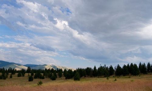 Missoula Montana Tourism Blue Mountain Rec Area