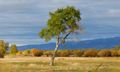 Missoula Montana Attractions Big Hole Valley