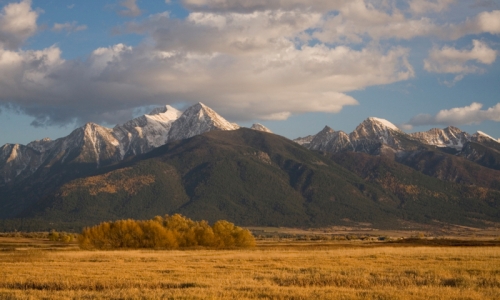 Mission Mountains Wilderness Antelope
