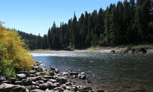 Clark Fork River Montana Fly Fishing