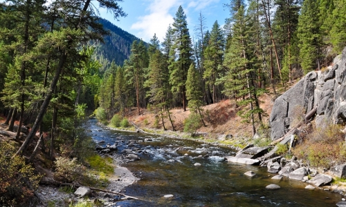 Rock Creek