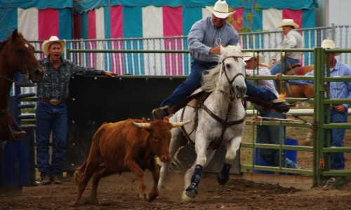 Ravalli County Fair Hamilton Montana