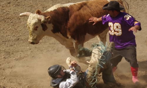 Ravalli County Fair
