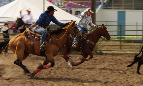 Ravalli County Fair Hamilton