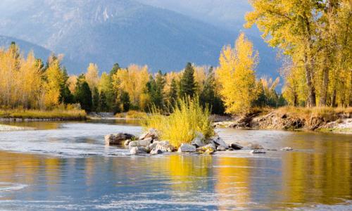 Bitterroot River Montana Fly Fishing
