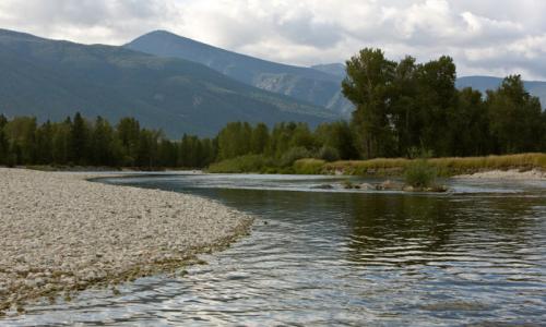 Bitterroot River Montana Fishing