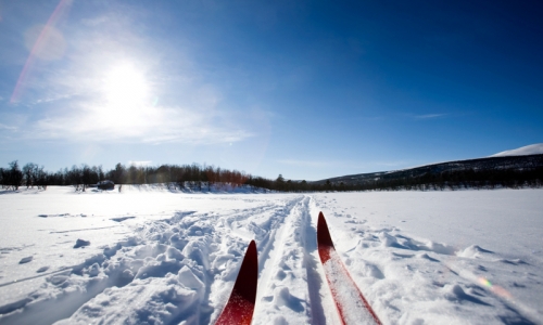 Cross Country Skiing