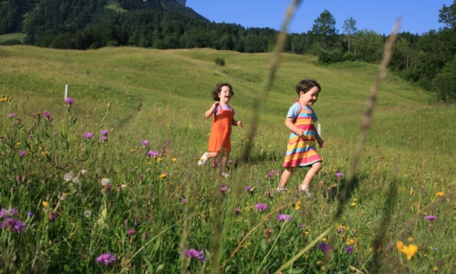 Missoula Montana Kids Hiking
