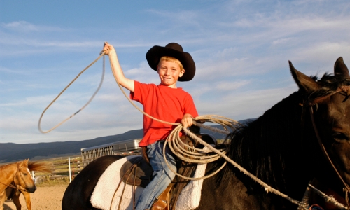 Missoula Montana Horse Trips