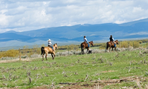 Missoula Montana Horse Pack Trips