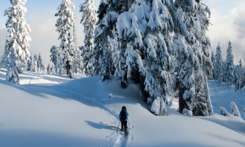 Missoula Montana Snowshoeing