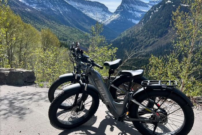 Montana E-Bikes — Whitefish, MT