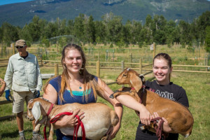 ABC ACRES – Kids Love our Farm & Animals