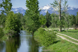 ABC ACRES – Farmstead & Nature Preserve