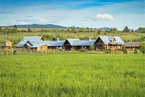 ABC ACRES – Farmstead rental homes & vacations