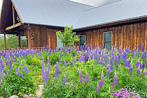 Visit ABC Acres Natural Parklands and Farmstead