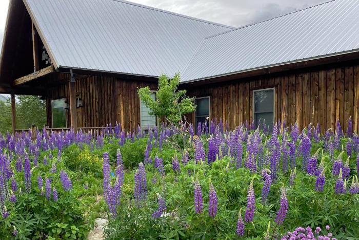 Abc Acres — Hamilton, MT