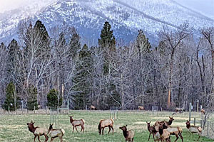 ABC ACRES – Farmstead & Nature Preserve