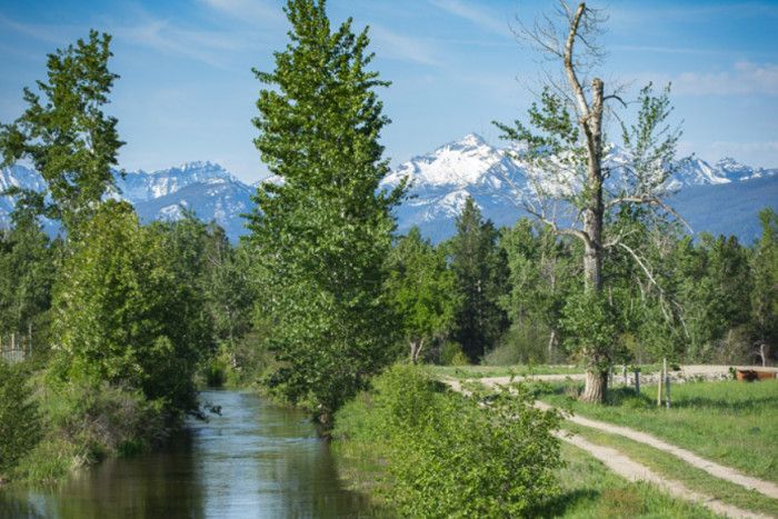 Abc Acres — Hamilton, MT