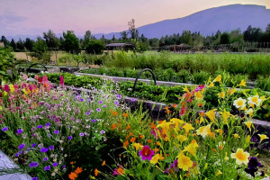 ABC ACRES – Farmstead & Hiking Trails in Hamilton