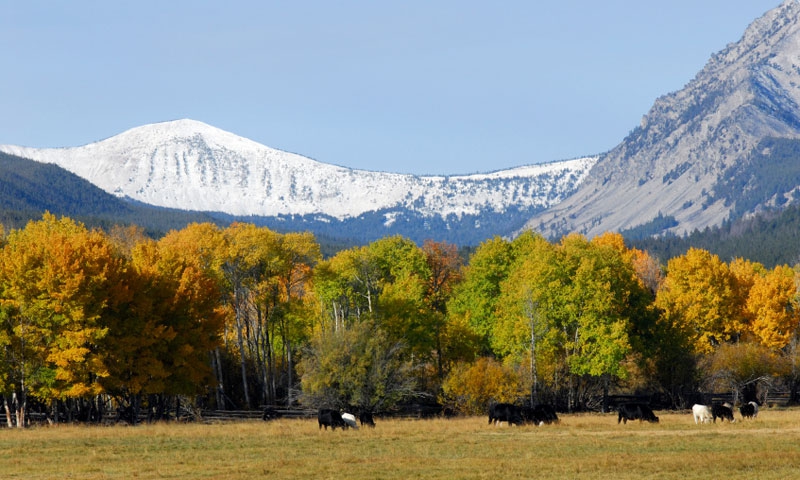 Horseback Riding through the Big Hole Valley in Montana