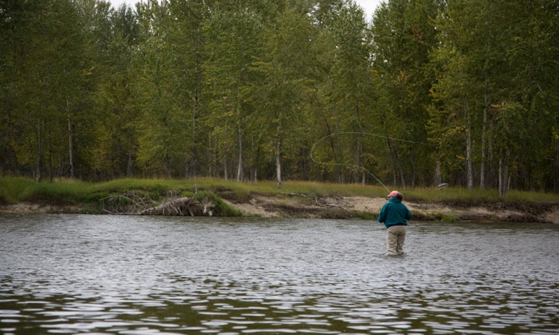 Fly Fishing the Bitterroot River