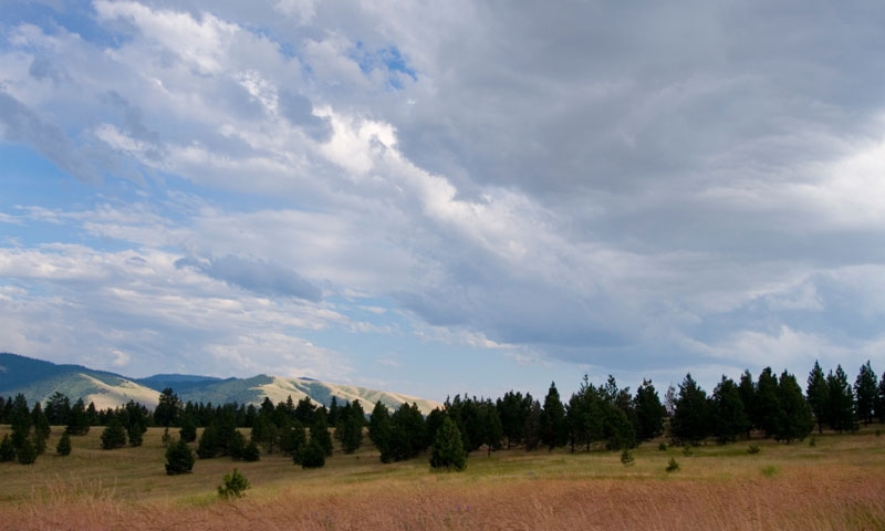 Overlooking the Blue Mountain Recreation Area