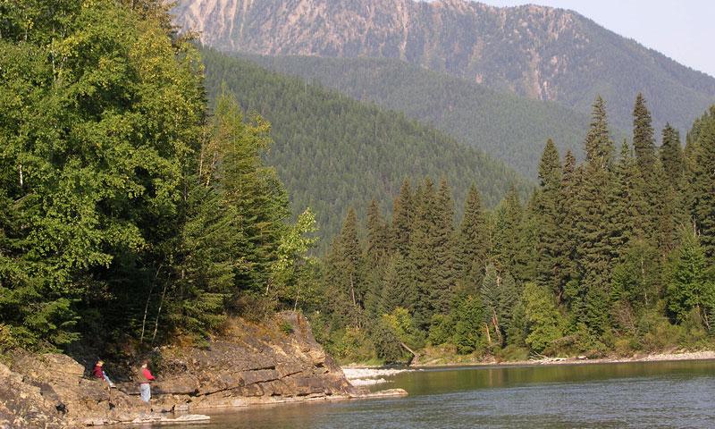 Fly Fishing the banks of the Flathead River
