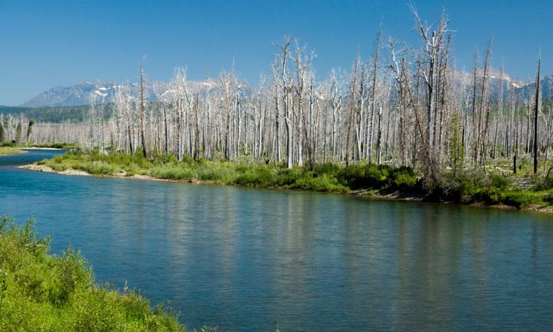 North Fork of Flathead River in Montana