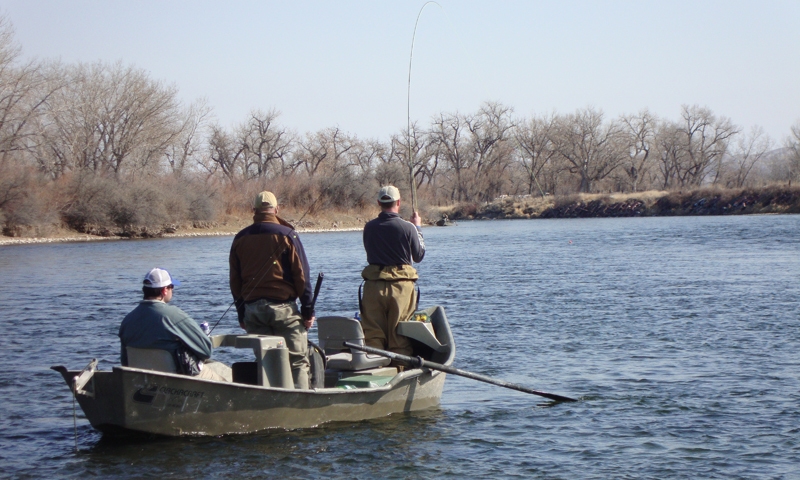 Fishing the Big Hole River