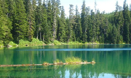 Clearwater Chain of Lakes