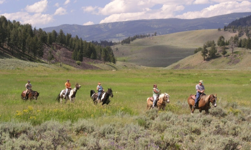 Horseback Riding