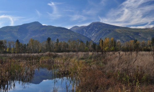 Stevensville Montana