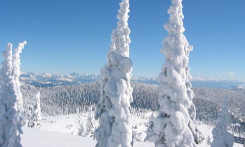Whitefish Mountain